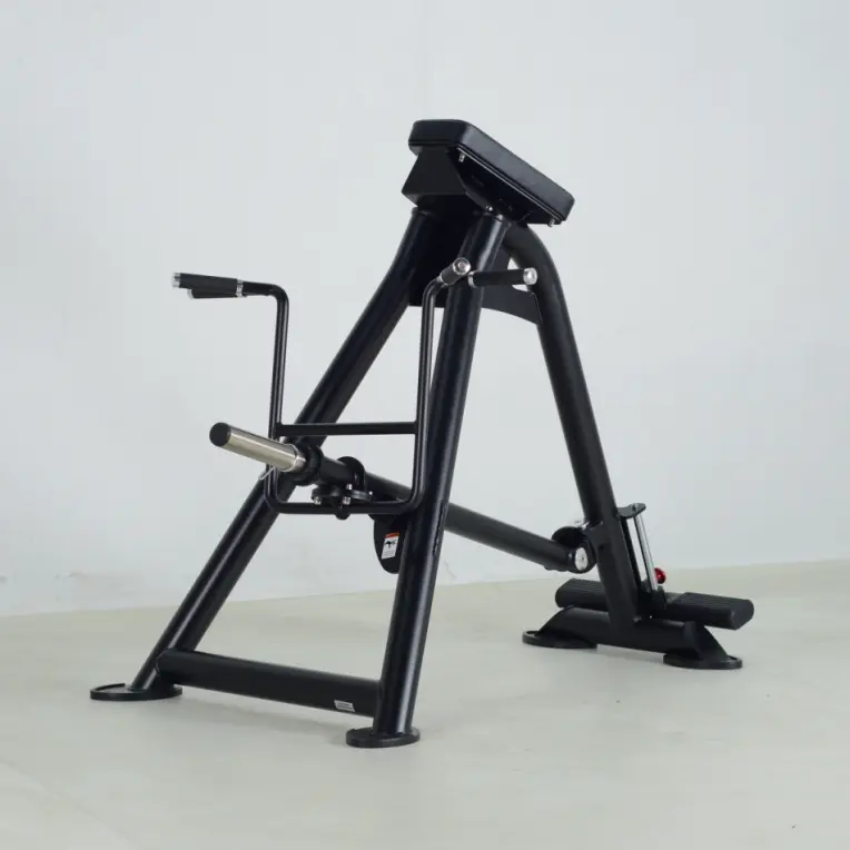 CF2173 站姿划船训练器