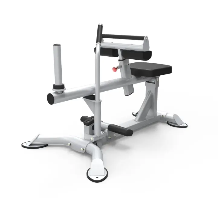 CF2172 提踵训练器